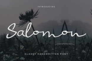 Discovering Salomon: Elegance from Handwriting