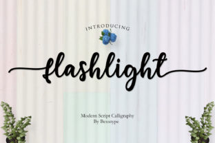 Flashlight Script: Illuminating Modern Branding with Artistic Typography