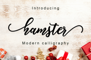 Hamster Script: A Font for Warm, Personal Design