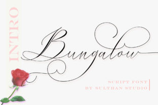Integrating Bungalow Script into Your Creative Workflow