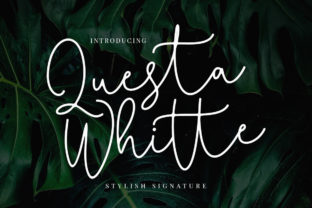 Questa Whitte Script: A Practical Guide to Its Characteristics and Uses