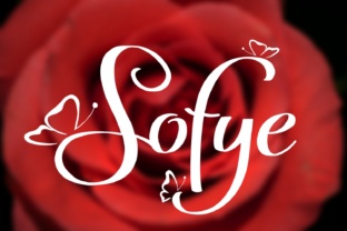 Sofye: A Bold Handwritten Font with Butterfly Details