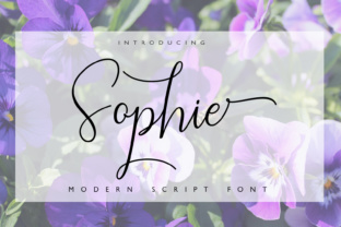 Sophie: A Typeface for Modern Elegance