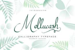 The Artful Beauty of Mollucash: A Hand-Drawn Calligraphy Typeface