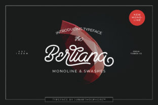 The Berliana Script: Where Elegant Typography Meets Contemporary Branding